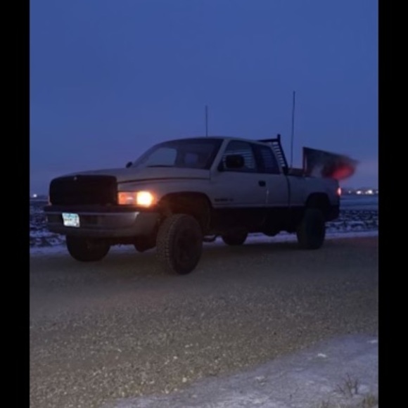 ava978231